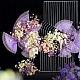 photo-2985761