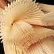 photo-2985691