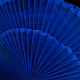 photo-2985764